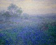 Cloudy Day. Bluebonnets near San Antonio, Texas